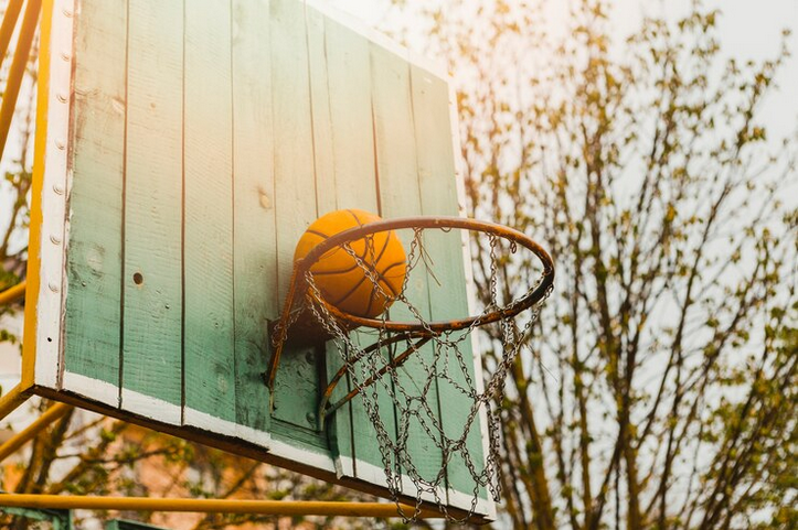 Safe and Effective Wasp Nest Removal in Dudley: Tips and Techniques