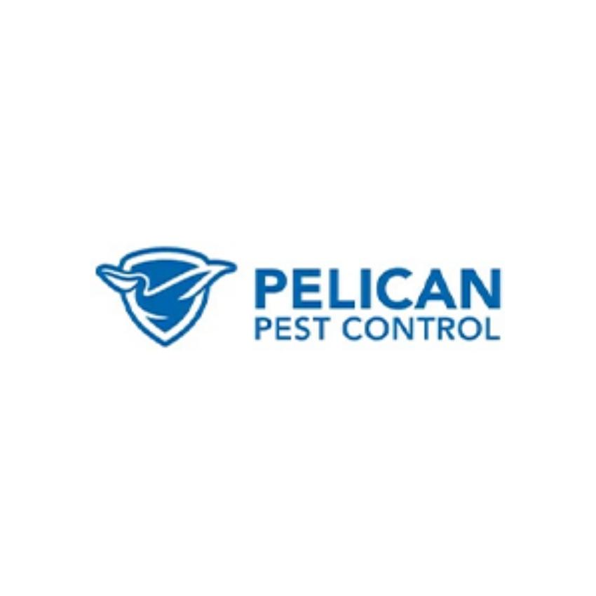  Reasons you should hire a pest control company