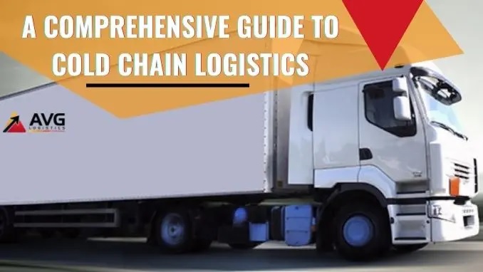 What is Coldchain Logistics service? Importance and Elements of Coldchain Logistics Company