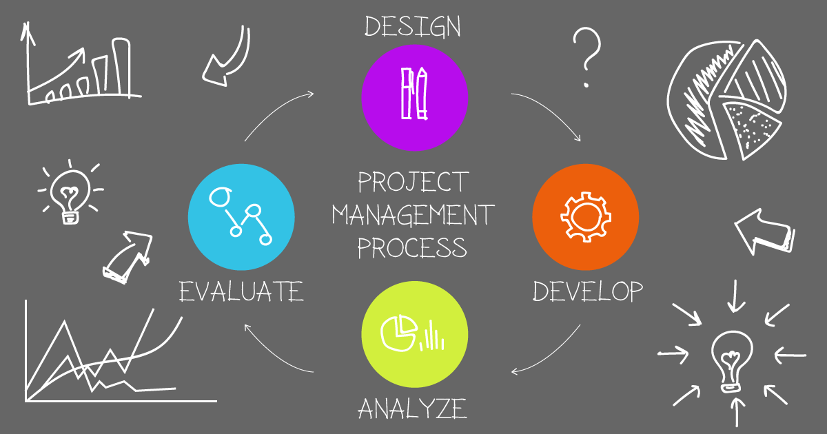 Basic Project Management Processes and the Project Life Cycle