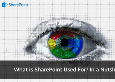 What is SharePoint Used For? In a Nutshell!