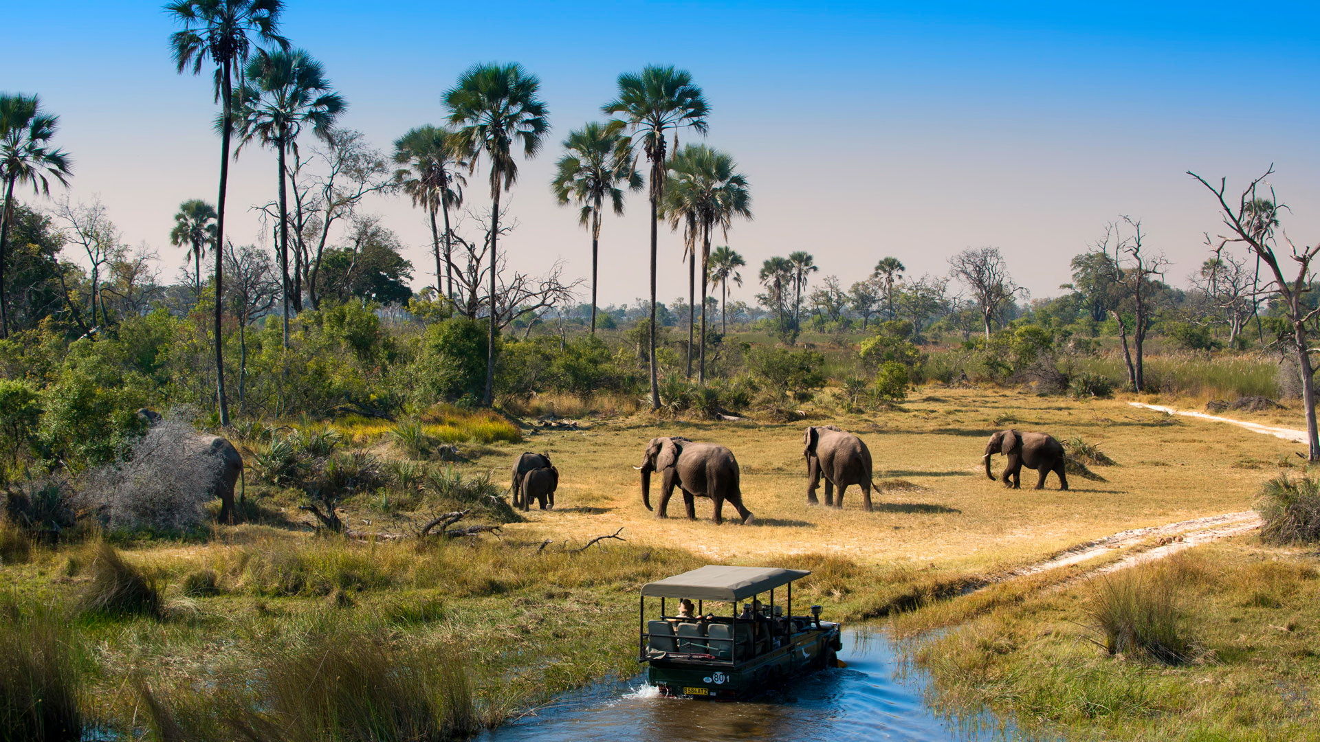 The 5 Best Places In Botswana To Do Adventure Activities & Safaris