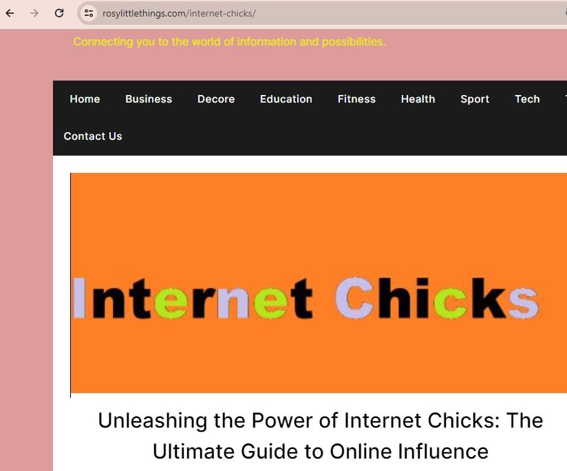 Internet Chicks
