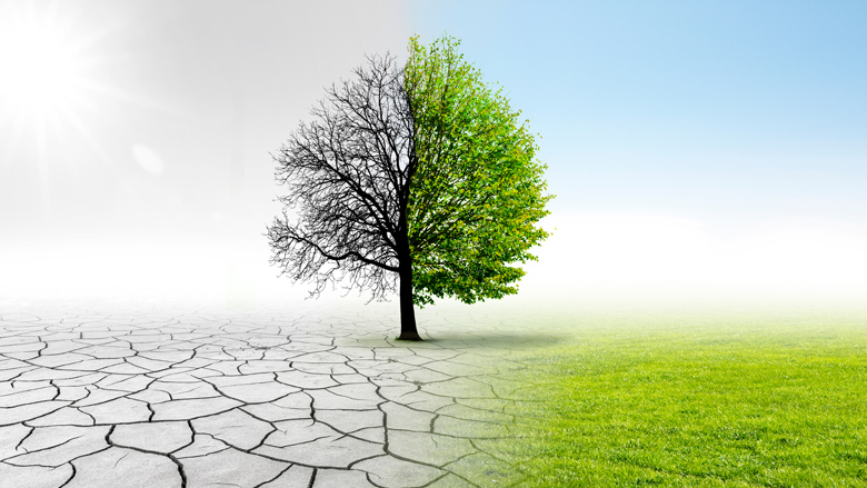 Write a Satirical Essay on the Climate Change