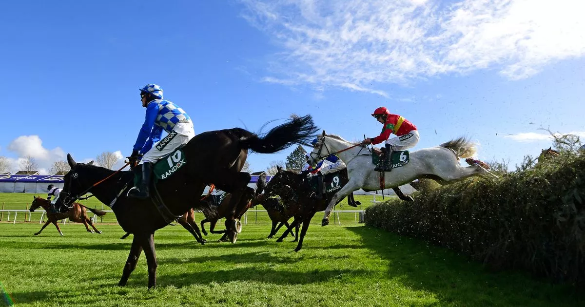 An Insider Guide To Plan Your Horse Racing Tour