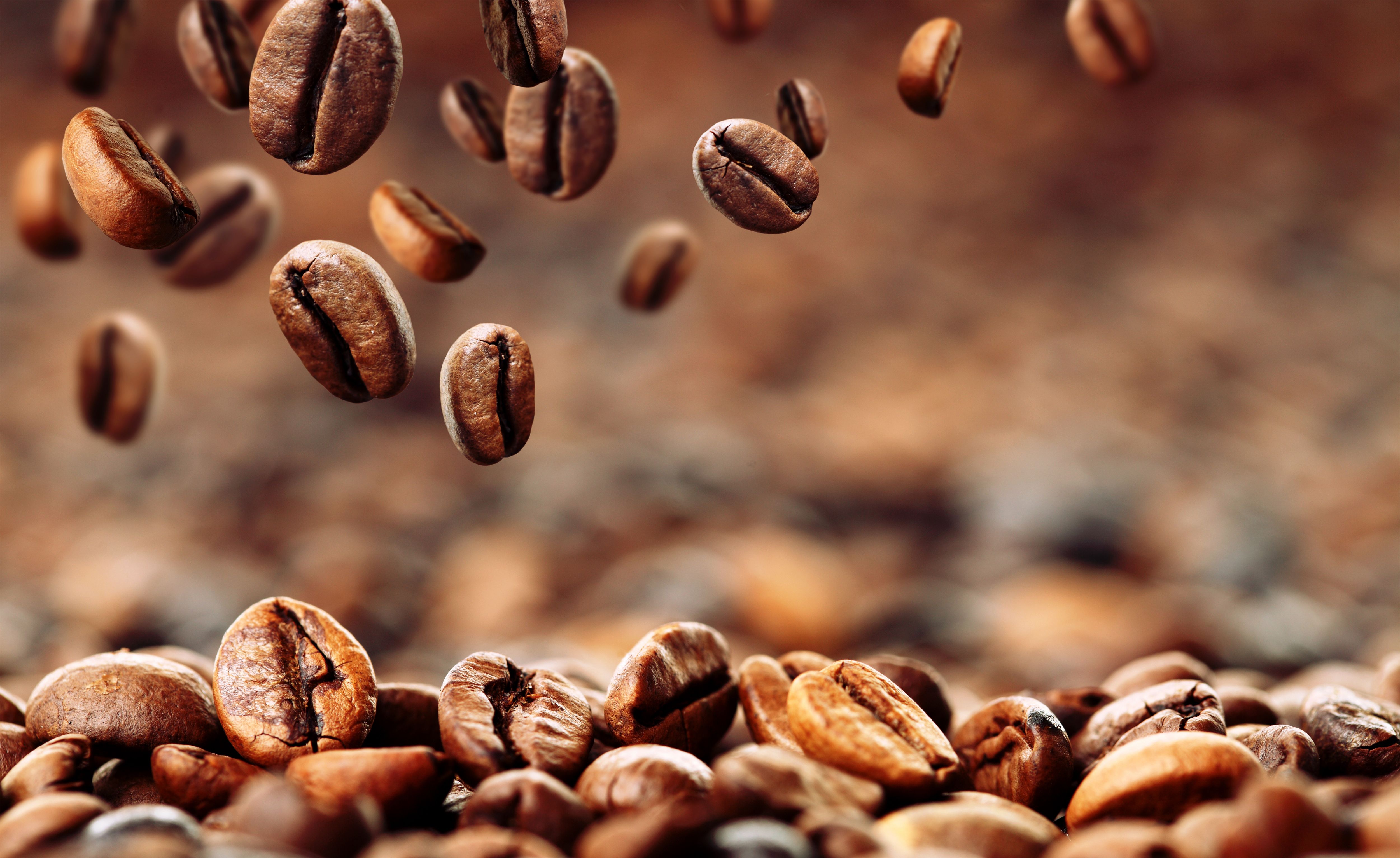 How do you choose the best coffee beans for the ideal brew