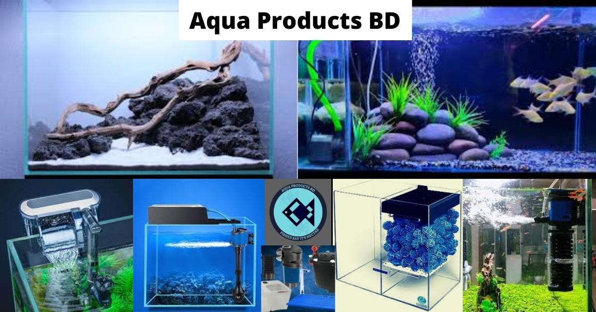 Aqua Products BD: What You Should Know Before Setting Up Your Aquarium