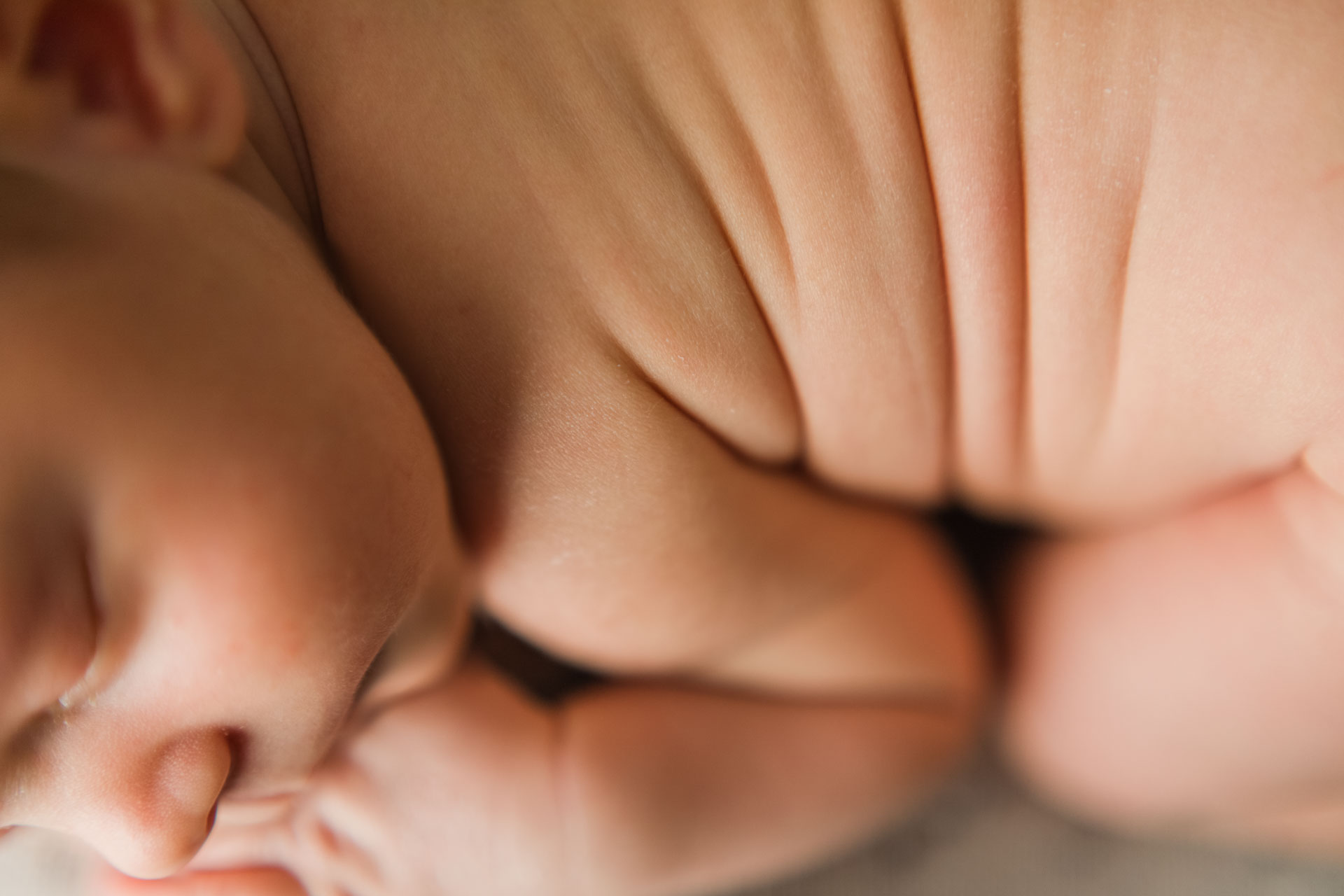 Nashville Newborn Photographer