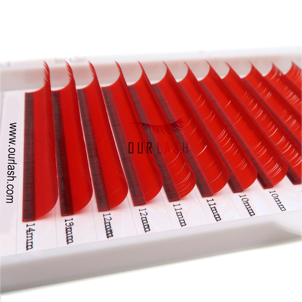 Eyelash technician requirements