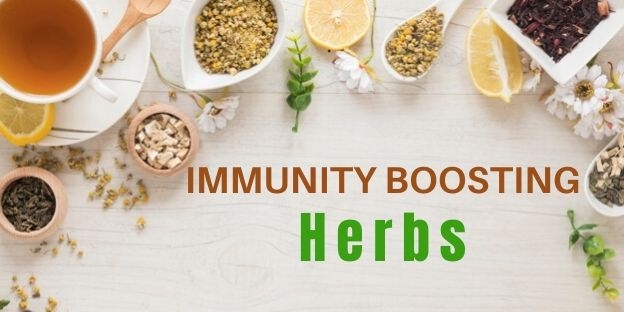 Organic Spices to help Boost your Immunity System 