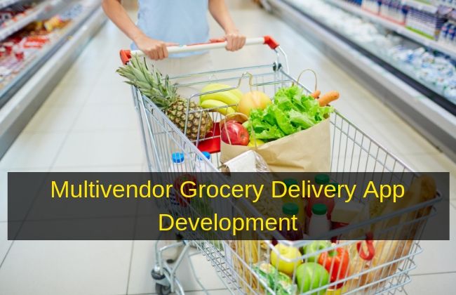 Grocery Delivery Multivendor App Development Solution