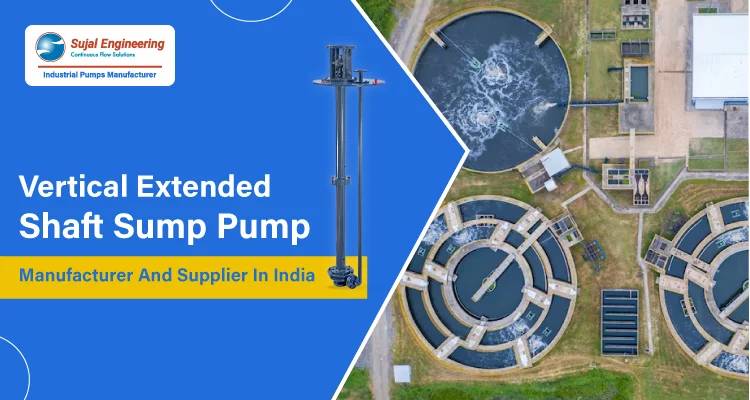 Vertical Extended Shaft Sump Pump Manufacturer and Supplier in India
