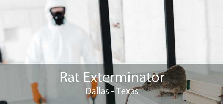 Rat Exterminator in Dallas