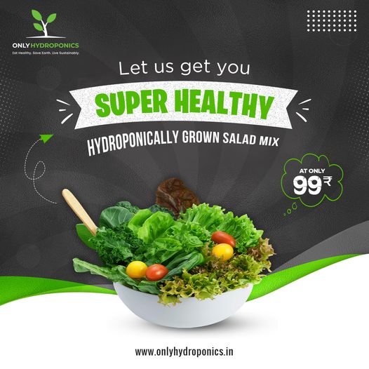 Reasons Why Hydroponic Salad Is The Perfect Meal