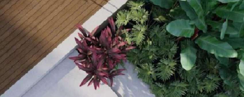 Several situations can be handled by the Landscape Architect's Services