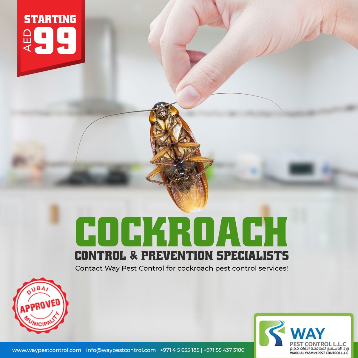 Pest Control in Dubai: The Importance of Professional Services