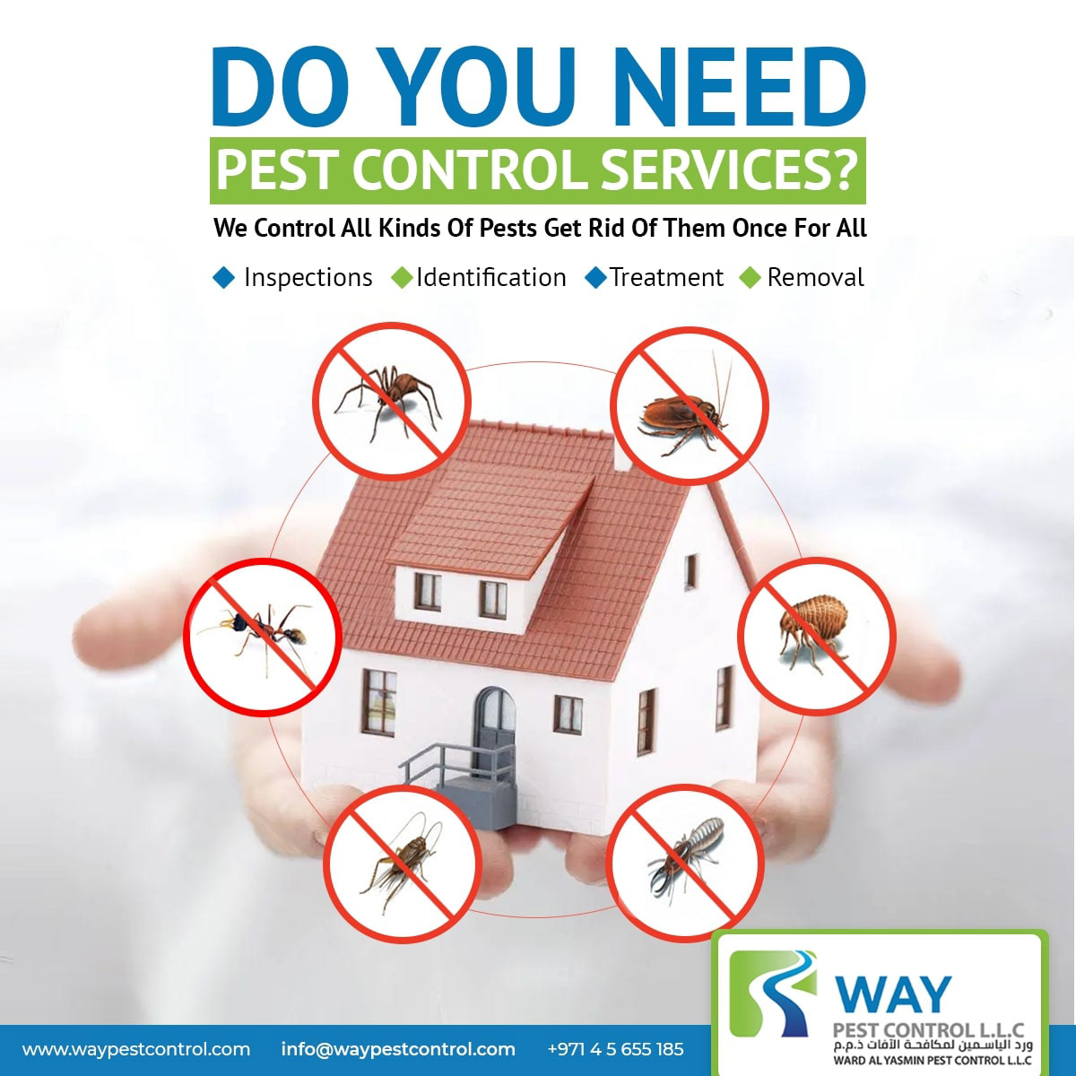 2.Exploring Effective Strategies for Exterminating Pests in Dubai