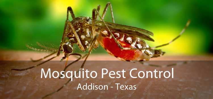 Mosquito Pest Control in Addison
