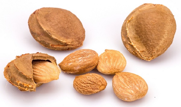 Global Apricot Kernel Market Size 2022, Trends, Growth, Future Demands, Opportunity and Regional Forecast to 2028