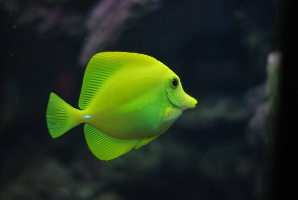 Tips for Improving Presentation Design