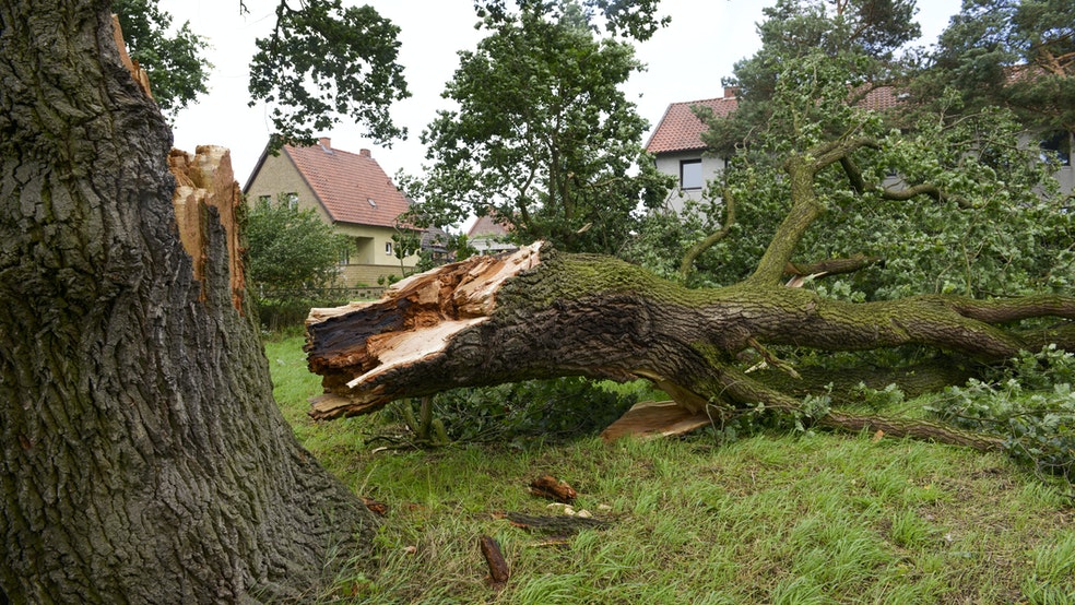 How To Do A Safely Storm Clean Up?