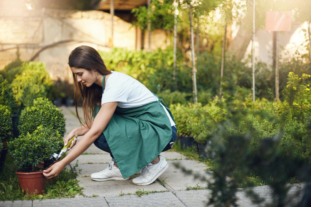 Unveiling the Green World: Welcome to Gardening Hackers!