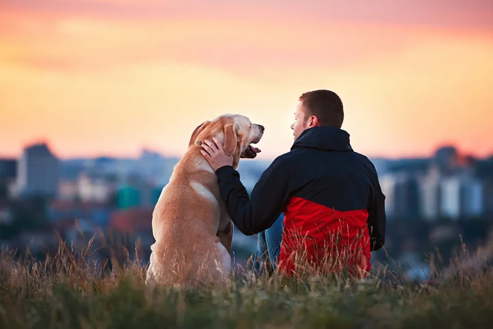 LEARN HOW AN EMOTIONAL SUPPORT DOG BENEFITS IN THE TREATMENT OF SOCIAL ANXIETY.