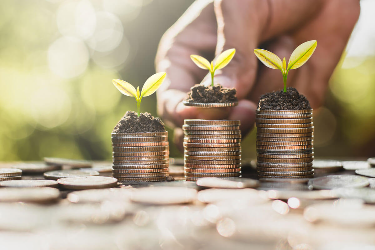 An Entrepreneur's Guide to Applying for Start-up Business Loans