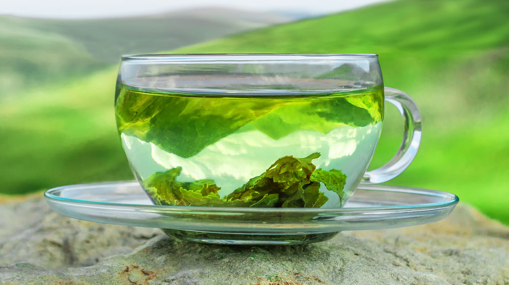 10 Factual Perks of Organic Green Tea