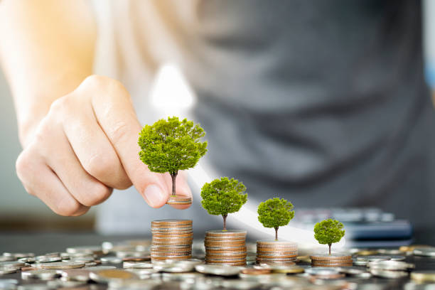 Green Bonds: How They Work & Who's Investing in Them