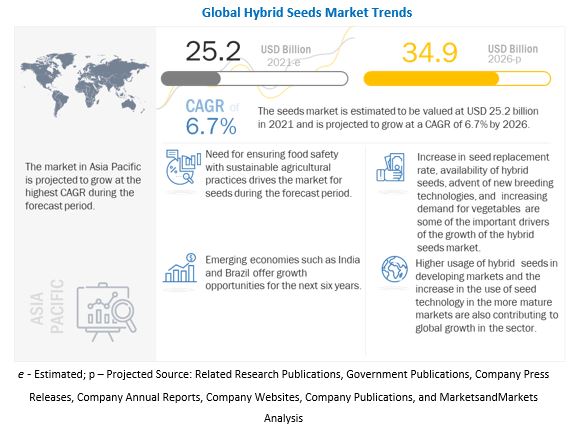 Hybrid Seeds Market Analysis, Statistics, Forecast 2021-2026