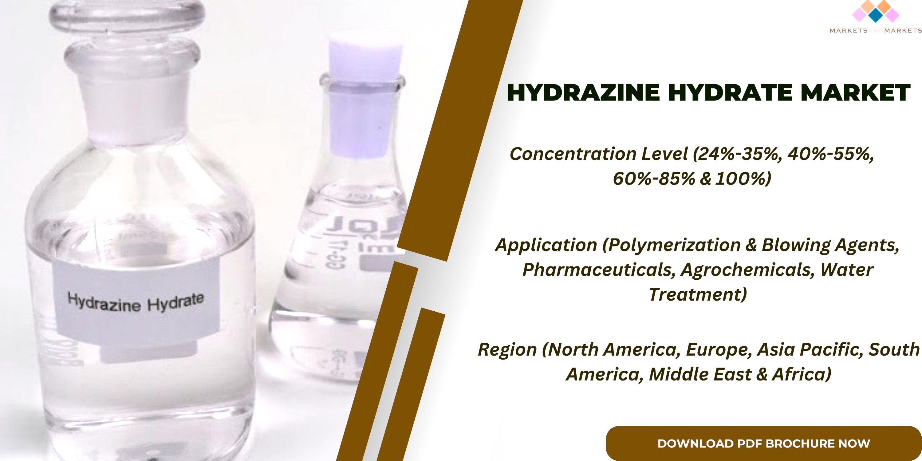 Hydrazine Hydrate Industry Size, Growth, Opportunity, Share, Graphical Insights, Key Developments, Trends, Manufacturers, Segments, and Forecast Research Report