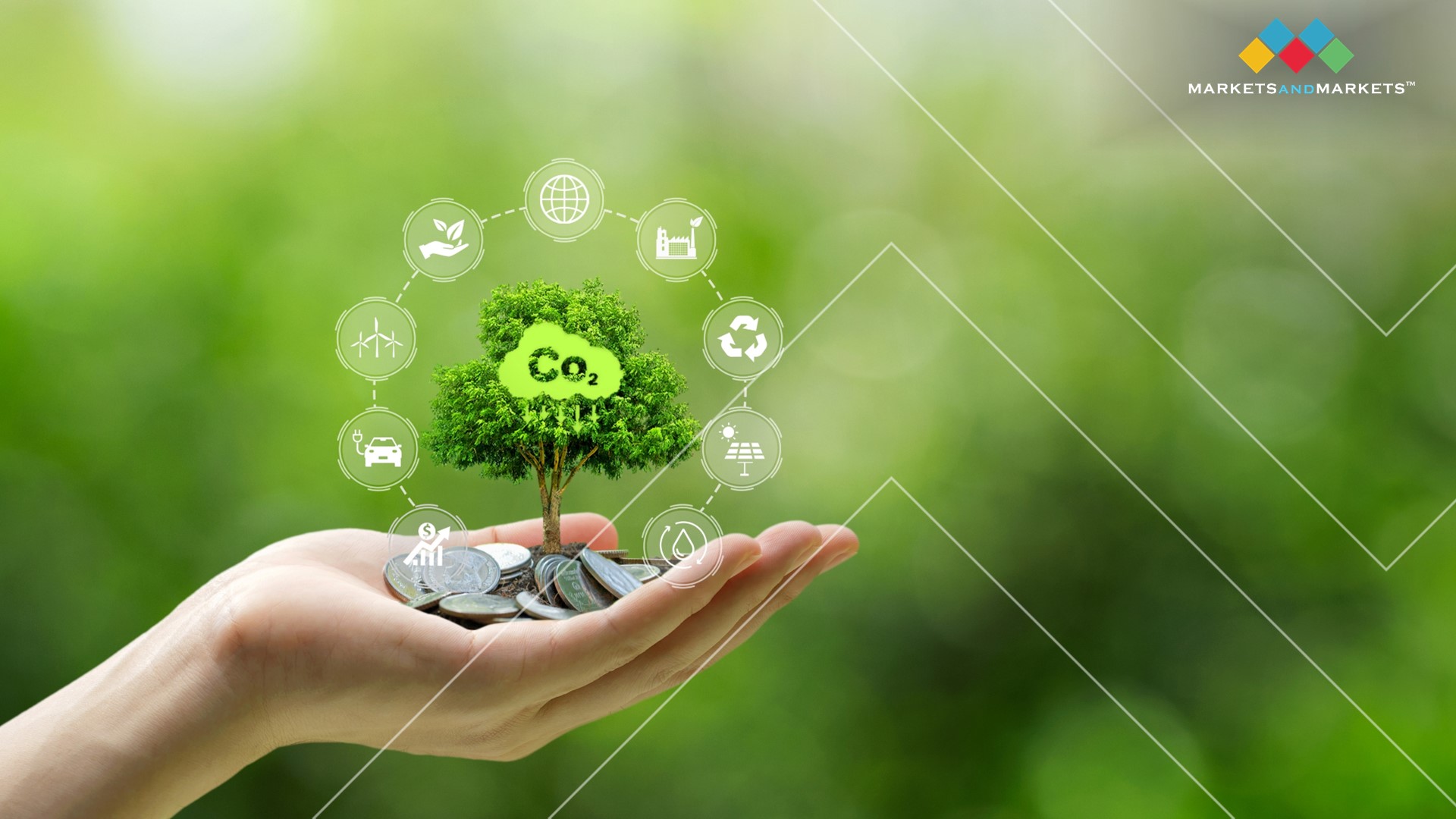 Carbon Offset/Carbon Credit: Everything You Need To Know