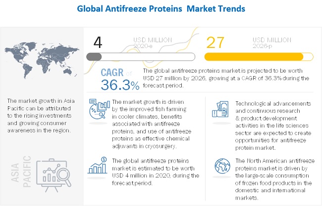 Antifreeze Proteins Market Latest Trends, Demands, Overview 