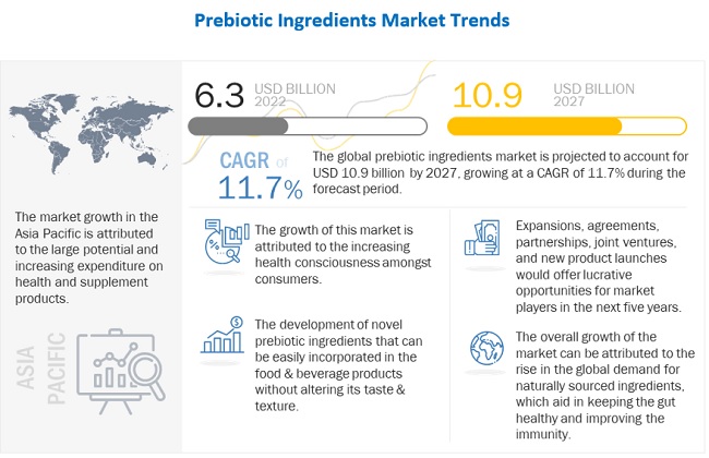 Expanding Horizons: Prebiotic Ingredients Market's Growth Trajectory
