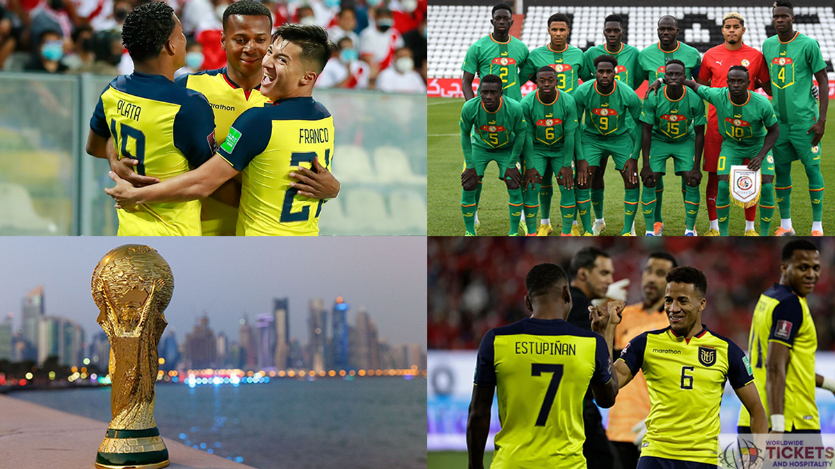 Football World Cup: Can Ecuador take their qualifiers' momentum into Qatar Football World Cup?