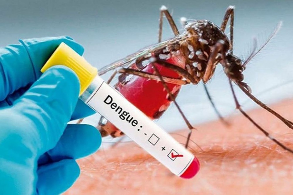 Prevention for Dengue by Sanchomee Herboveda