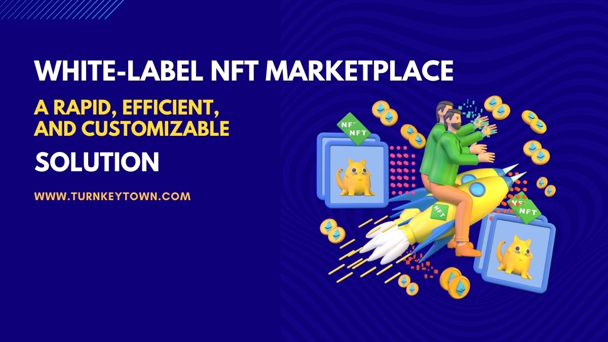 White label NFT Marketplace Development: A Facile Solution To Launch Your NFT Platform
