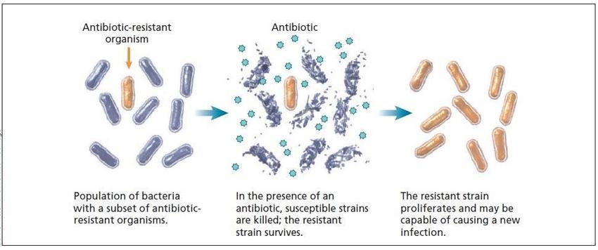 Antimicrobial Resistance Diagnostics Market: Pioneering the Fight Against Superbugs