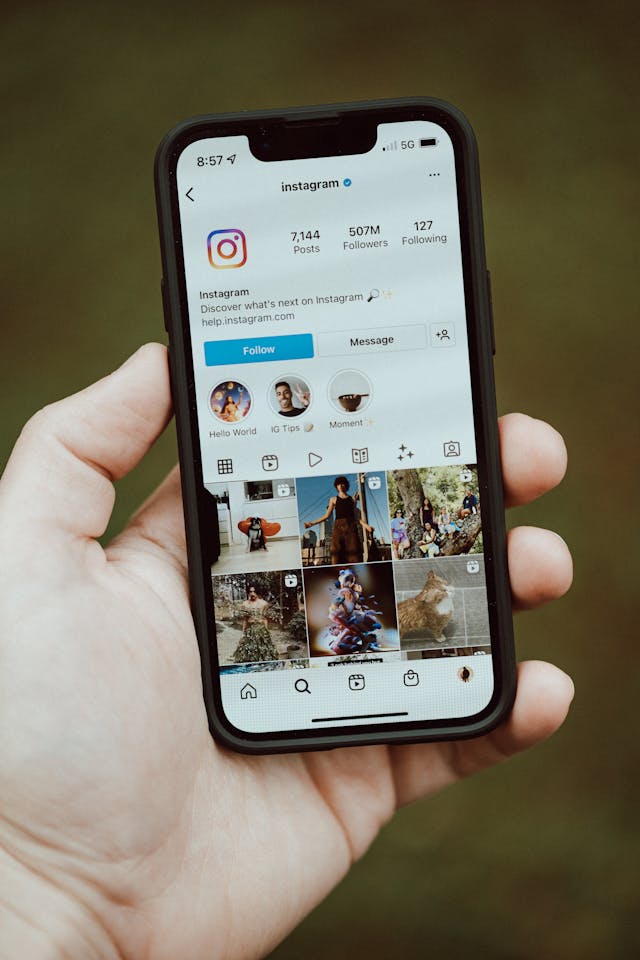 Utilizing Instagram Analytics to Grow Your Followers