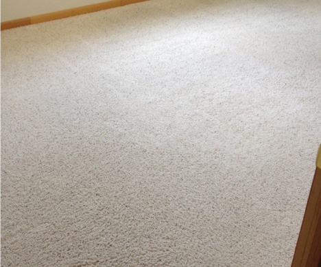 Professional And Affordable Carpet Steam Cleaning In Canberra