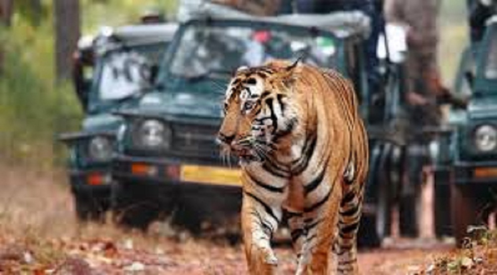 get the best tour packages for enjoy the holidays