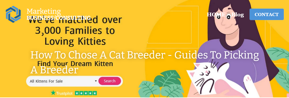 What Is a Cattery & How to Choose the Best Cattery?