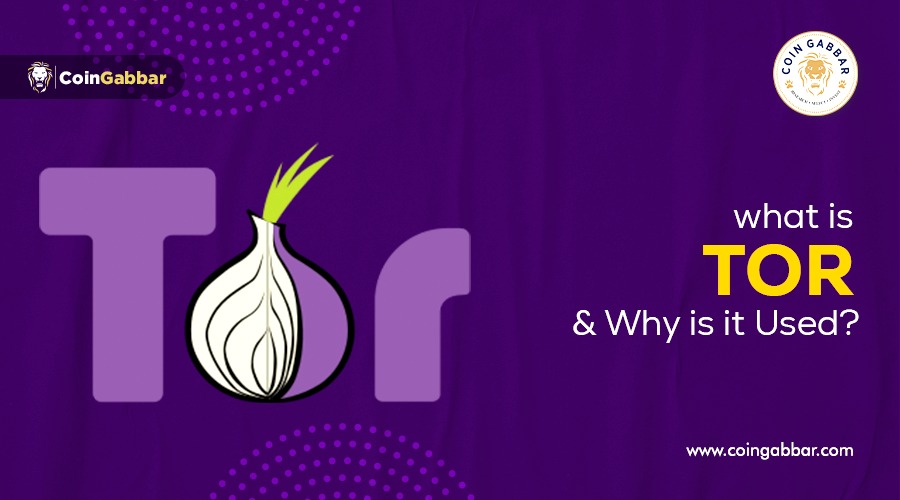 What is TOR Browser and How to Use it? A Detailed Guide