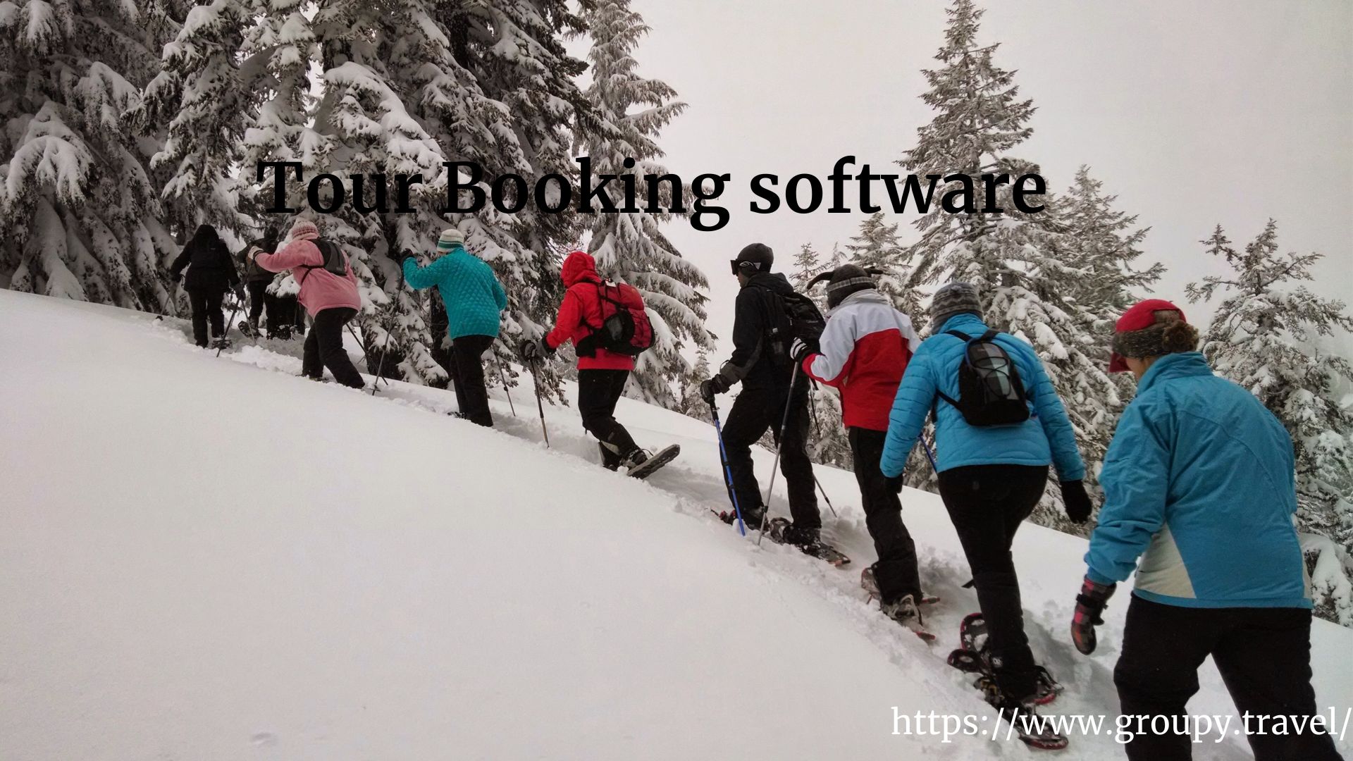 Tour Booking software