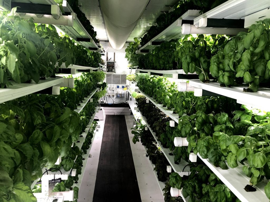Indoor Vertical Hydroponics Farm and Its Working 