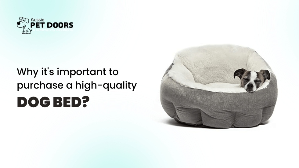 Why it's important to purchase a high-quality dog bed?