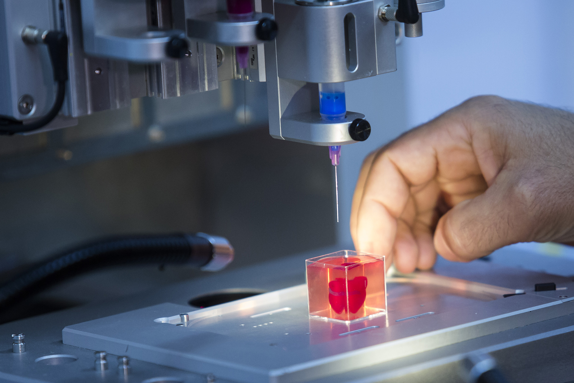 Key Players And Innovations In The Physical Vapor Deposition Market
