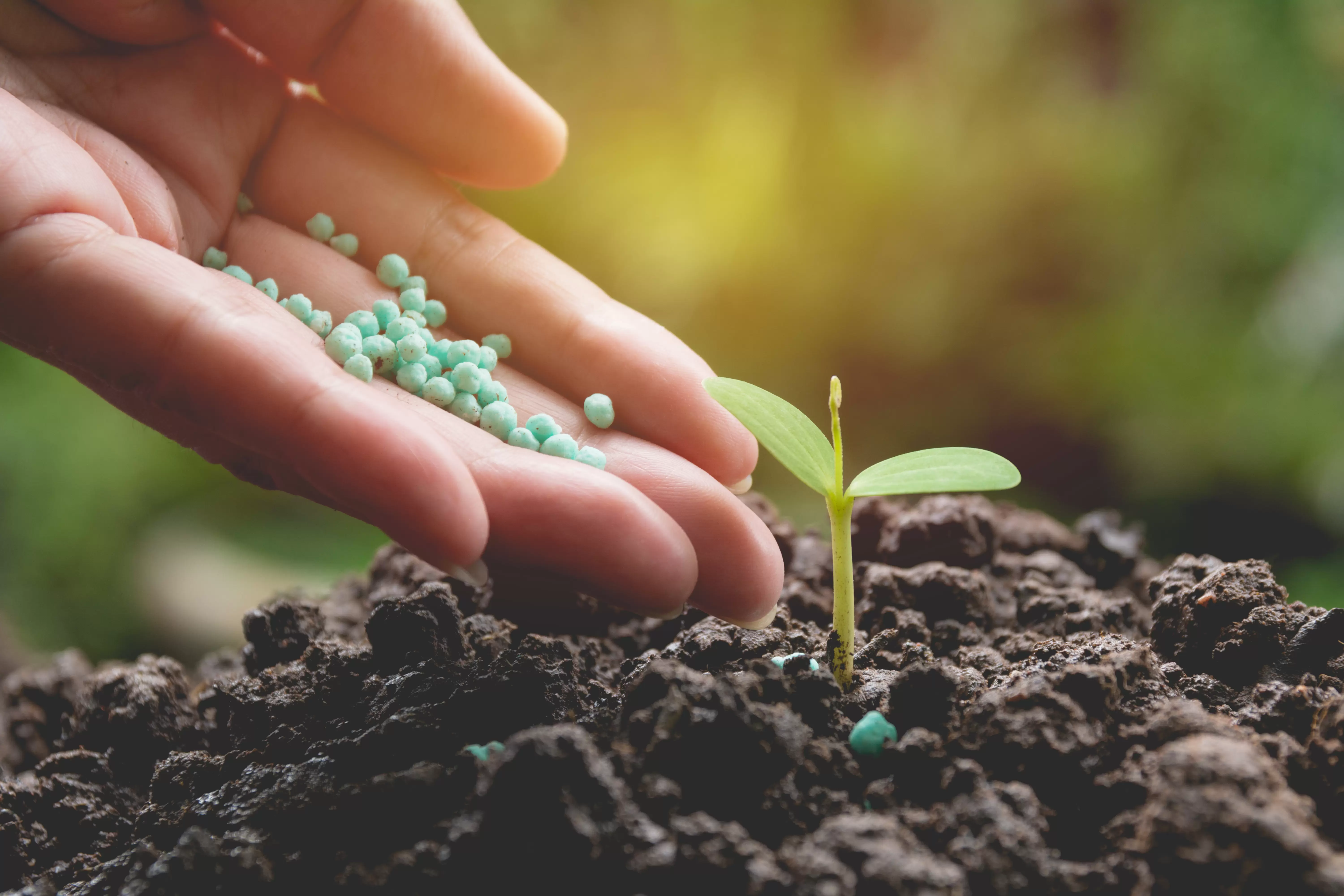 Global Organic Fertilizer Market Is Estimated To Witness High Growth Owing To Increasing Demand for Sustainable Farming Practices 