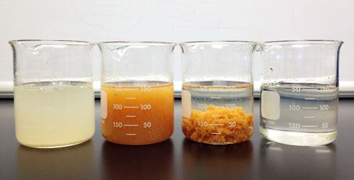 Fatty Acid Methyl Esters As A Diesel Fuel Alternative Has Gained Significant Attention
